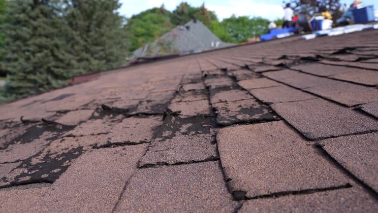 Best Cold Roofs  in Veazie, ME