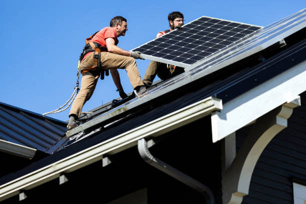 Best Roof Moss and Algae Removal  in Veazie, ME